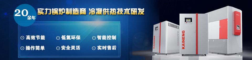 20余年實(shí)力鍋爐制造商，專(zhuān)注冷凝供熱技術(shù)研發(fā)