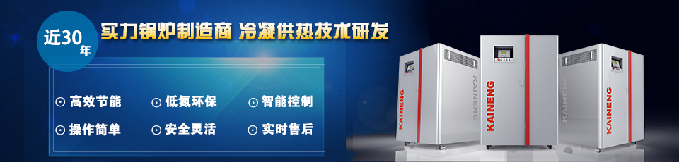 近30年實力鍋爐制造商，專注冷凝供熱技術(shù)研發(fā)